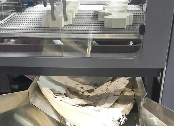 Fully Automatic Die-Cutting Box Waste Paper Stripping/Blanking Machine (1100SZ)