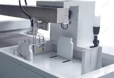 Saga CCD Sencer Digital Automatic Feeding Sheeet Die Cutter.