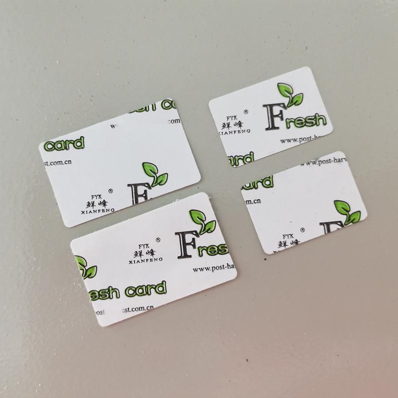 Foam Paper Vinyl Sticker Rubber Laminate Flat Label Die Cutting Machine Price