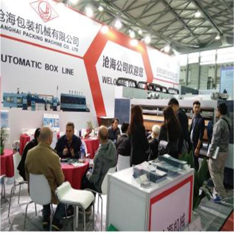 Sales Service Provided Semiauto Flatbed Die Cutting Machine