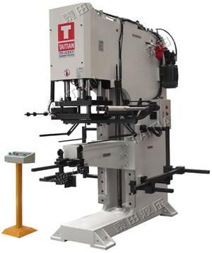 Hot Stamping Press Machine (TT-C25T)