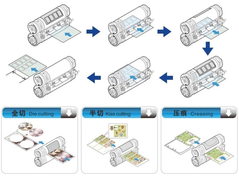 Automatic Mini Rotary Sheet to Sheet Flexible Die Cutting Machine