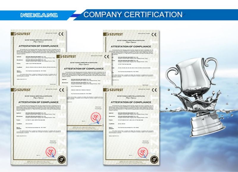 Label Inspection Quality Machine Piece-Counting System