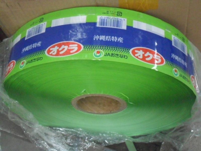 Jyt-B Jiayuan Hot Melt Membrane Non Woven Fabric Laminating Machine CE Certification